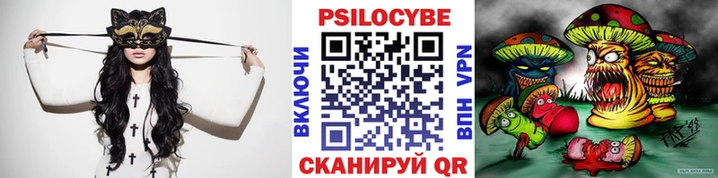 Псилоцибиновые грибы Cubensis  Мыски 